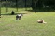 Thumbs/tn_Bild 069.jpg